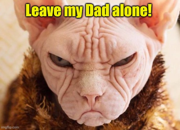 Ugly hairless miserable cat | Leave my Dad alone! | image tagged in ugly hairless miserable cat | made w/ Imgflip meme maker