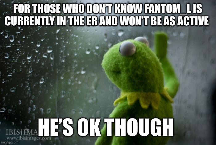 :( | FOR THOSE WHO DON’T KNOW FANTOM_L IS CURRENTLY IN THE ER AND WON’T BE AS ACTIVE; HE’S OK THOUGH | image tagged in kermit window | made w/ Imgflip meme maker