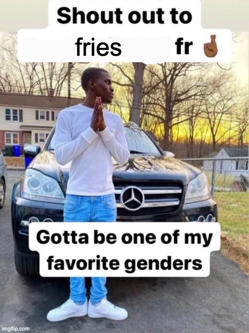 Shout out to.... Gotta be one of my favorite genders | fries | image tagged in shout out to gotta be one of my favorite genders | made w/ Imgflip meme maker