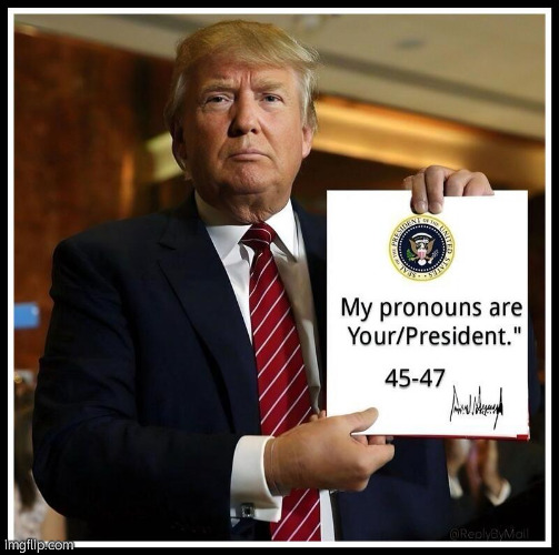 Why does Trump have pronouns? Is he woke libreal? | image tagged in trump pronouns 45 / 47 | made w/ Imgflip meme maker