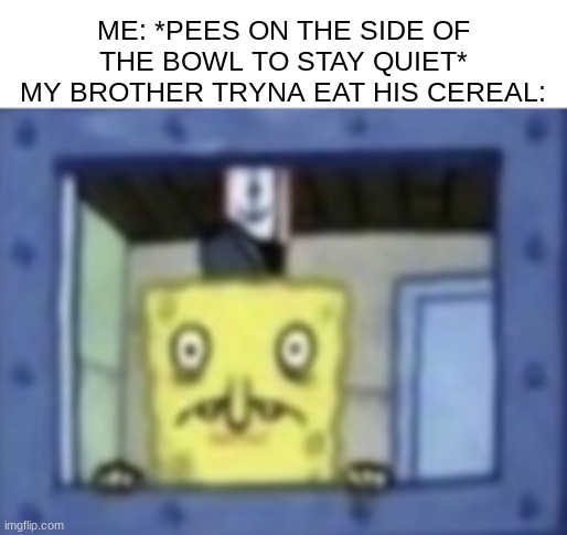 Minor inconvenience | ME: *PEES ON THE SIDE OF THE BOWL TO STAY QUIET*
MY BROTHER TRYNA EAT HIS CEREAL: | image tagged in toilet,cereal | made w/ Imgflip meme maker