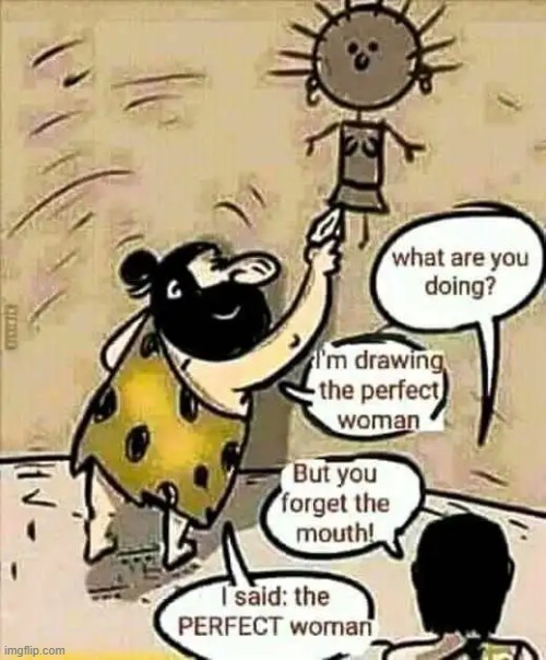 Perfection | image tagged in the perfect woman,caveman draws perfect woman,lol,perfection,men and women,so true | made w/ Imgflip meme maker