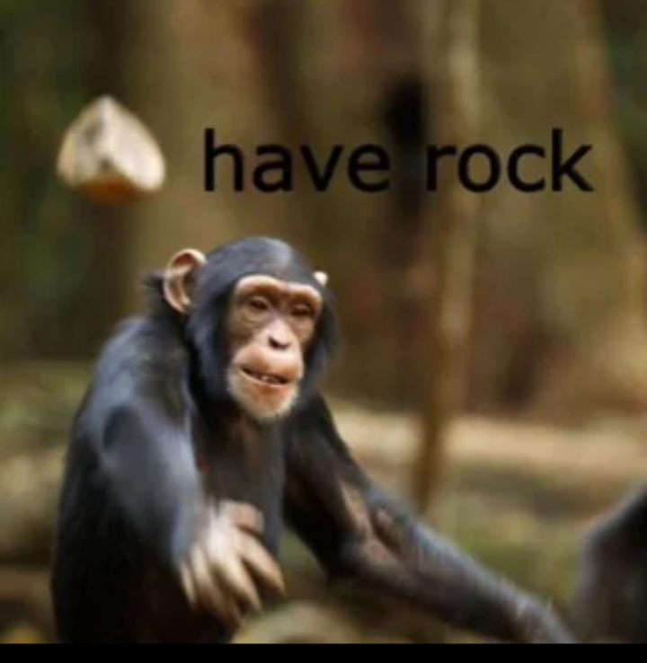 High Quality have rock Blank Meme Template