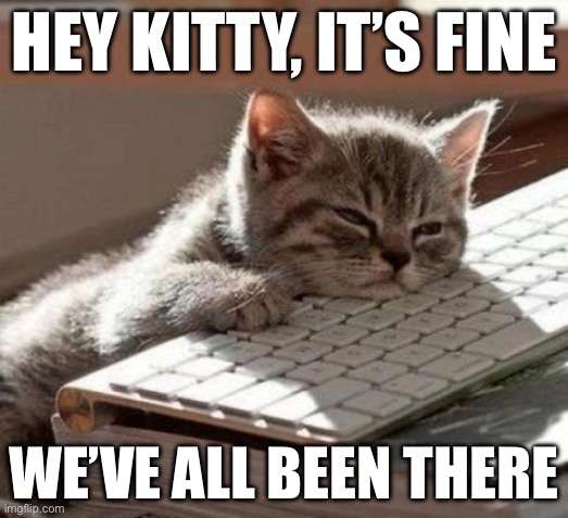 We’ve all been there | HEY KITTY, IT’S FINE; WE’VE ALL BEEN THERE | image tagged in tired cat,work,bad day at work,sleepy cat | made w/ Imgflip meme maker