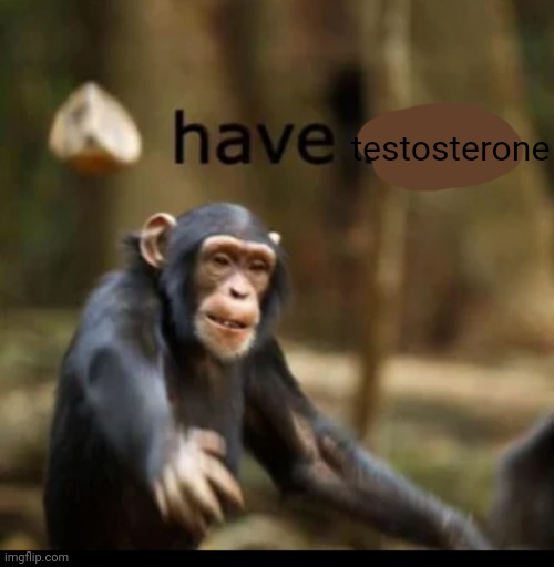 have rock | testosterone | image tagged in have rock | made w/ Imgflip meme maker