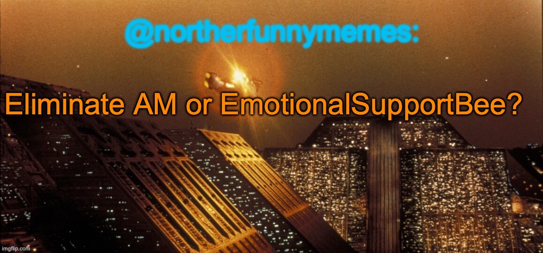northerfunnymemes announcement template | Eliminate AM or EmotionalSupportBee? | image tagged in northerfunnymemes announcement template,voting game s4 | made w/ Imgflip meme maker