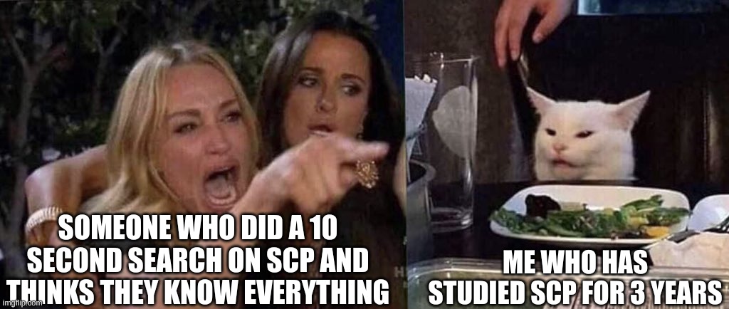 scp | SOMEONE WHO DID A 10 SECOND SEARCH ON SCP AND THINKS THEY KNOW EVERYTHING; ME WHO HAS STUDIED SCP FOR 3 YEARS | image tagged in woman yelling at cat | made w/ Imgflip meme maker