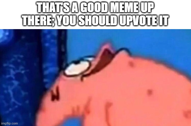 Patrick looking up | THAT'S A GOOD MEME UP THERE; YOU SHOULD UPVOTE IT | image tagged in patrick looking up | made w/ Imgflip meme maker