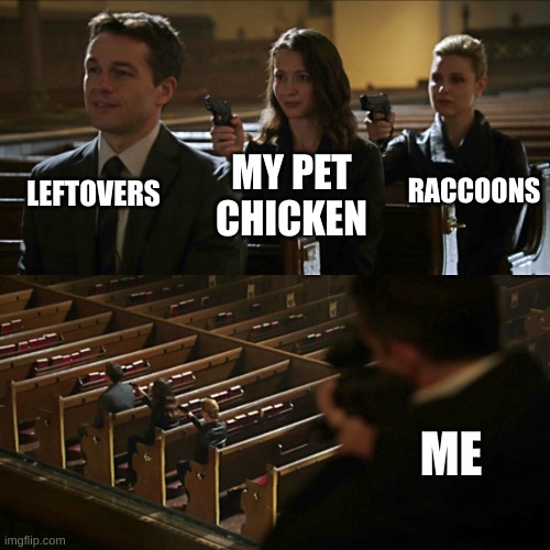 Assassination chain | LEFTOVERS; RACCOONS; MY PET CHICKEN; ME | image tagged in assassination chain | made w/ Imgflip meme maker