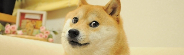 doge meme - banner Blank Meme Template