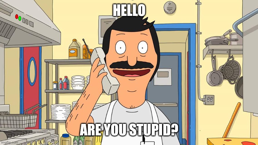 Hello Are You Stupid? | HELLO; ARE YOU STUPID? | image tagged in bob's burgers calling | made w/ Imgflip meme maker