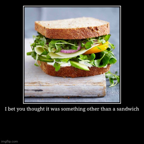 I bet you thought it was something other than a sandwich | | image tagged in funny,demotivationals | made w/ Imgflip demotivational maker