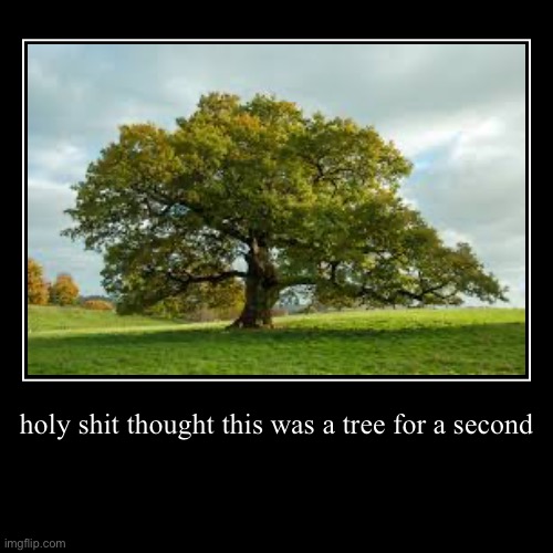 holy shit thought this was a tree for a second | | image tagged in funny,demotivationals | made w/ Imgflip demotivational maker