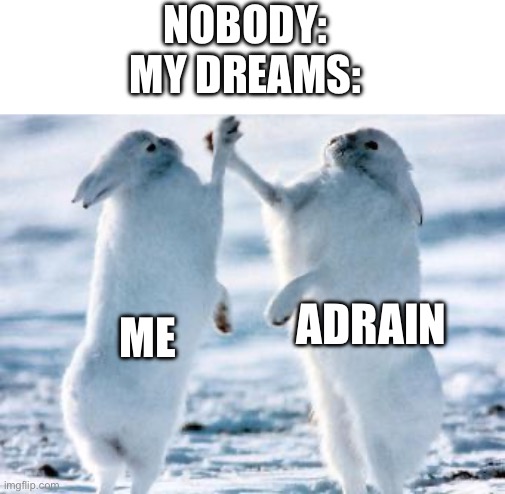 I Meet Adrain In My Dreams | NOBODY:
MY DREAMS:; ME; ADRAIN | image tagged in best friends,miraculous ladybug | made w/ Imgflip meme maker