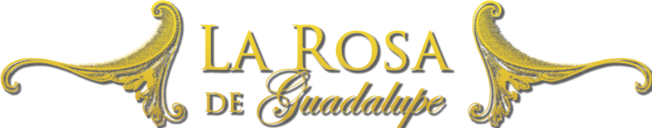 Logo la rosa de Guadalupe Blank Meme Template