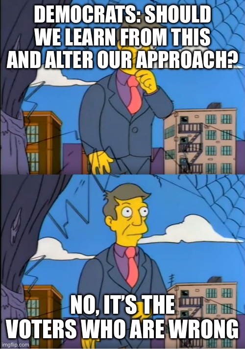 Principal Skinner | DEMOCRATS: SHOULD WE LEARN FROM THIS AND ALTER OUR APPROACH? NO, IT’S THE VOTERS WHO ARE WRONG | image tagged in principal skinner | made w/ Imgflip meme maker