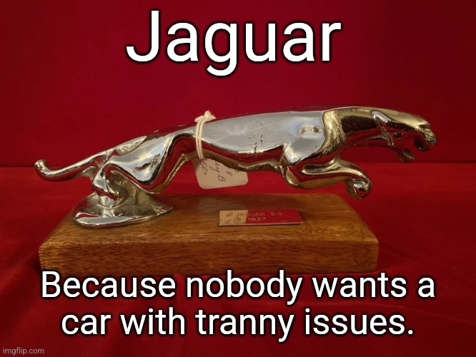 Jaguar | Jaguar; Because nobody wants a
car with tranny issues. | made w/ Imgflip meme maker