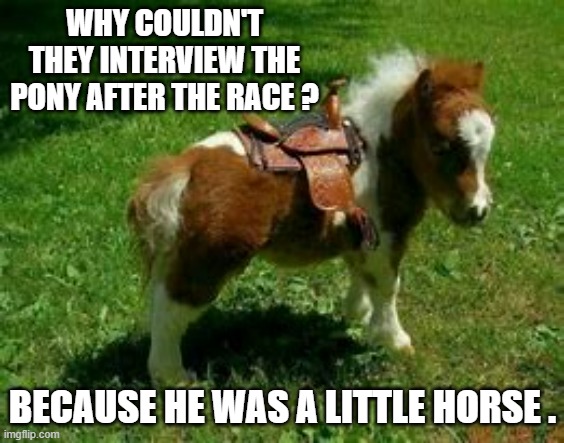 memes by Brad - They couldn't interview the winning horse from the race -humor- | WHY COULDN'T THEY INTERVIEW THE PONY AFTER THE RACE ? BECAUSE HE WAS A LITTLE HORSE . | image tagged in sports,funny,horse,racing,winner,humor | made w/ Imgflip meme maker