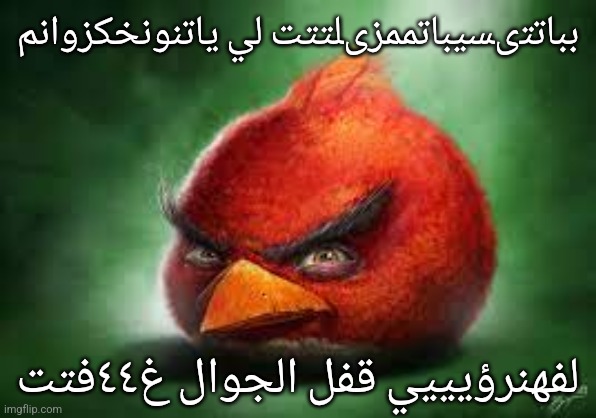 Realistic Red Angry Birds | بباتتىسيباتممزىلتتت لي ياتنونخكزوانم; لفهنرؤيييي قفل الجوال غ٤٤فتت | image tagged in realistic red angry birds | made w/ Imgflip meme maker