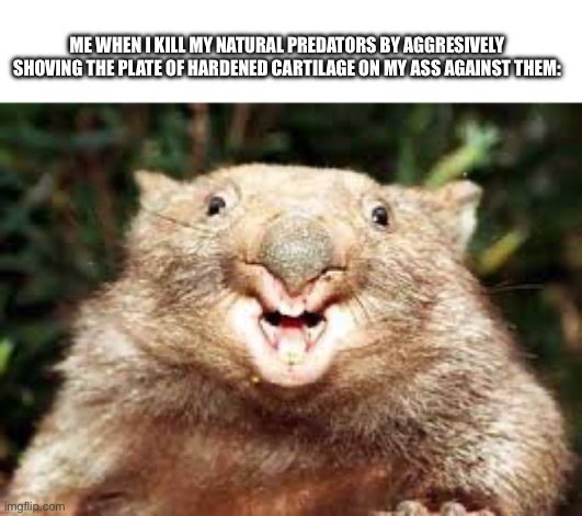 Wumbat | ME WHEN I KILL MY NATURAL PREDATORS BY AGGRESIVELY SHOVING THE PLATE OF HARDENED CARTILAGE ON MY ASS AGAINST THEM: | image tagged in happy wombat | made w/ Imgflip meme maker