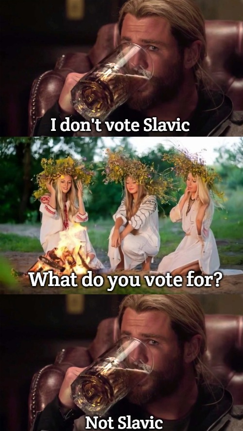 I don't vote Slavic; What do you vote for? Not Slavic | image tagged in thor,slavic girls | made w/ Imgflip meme maker