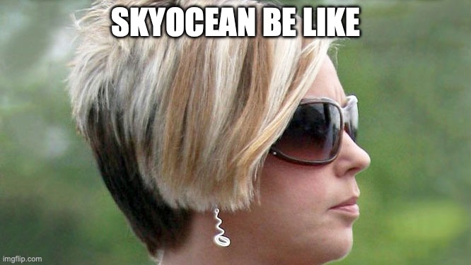 Karen | SKYOCEAN BE LIKE | image tagged in karen | made w/ Imgflip meme maker