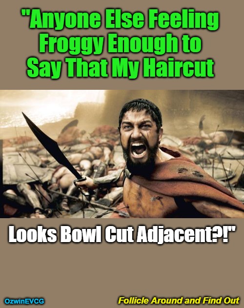 Follicle Around and Find Out | "Anyone Else Feeling 

Froggy Enough to 

Say That My Haircut; Looks Bowl Cut Adjacent?!"; Follicle Around and Find Out; OzwinEVCG | image tagged in this is sparta,king leonidas,this is barber,feeling froggy,bad hair day,fafo | made w/ Imgflip meme maker