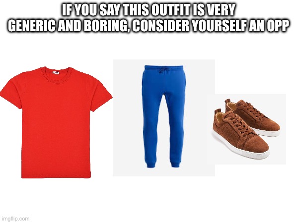 IF YOU SAY THIS OUTFIT IS VERY GENERIC AND BORING, CONSIDER YOURSELF AN OPP | image tagged in cool,outfit | made w/ Imgflip meme maker