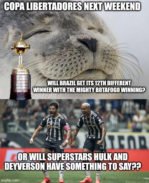 Copa L this weekend | COPA LIBERTADORES NEXT WEEKEND; WILL BRAZIL GET ITS 12TH DIFFERENT WINNER WITH THE MIGHTY BOTAFOGO WINNING? OR WILL SUPERSTARS HULK AND DEYVERSON HAVE SOMETHING TO SAY?? | image tagged in satisfied seal,hulk smash,botafogo,atletico mineiro | made w/ Imgflip meme maker