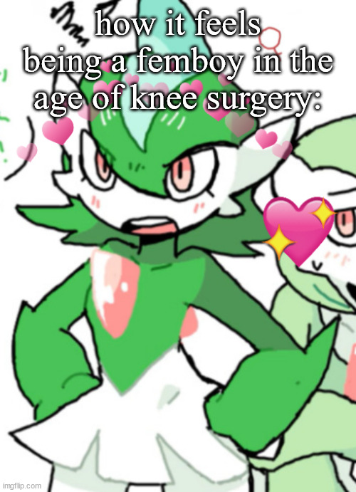 female gallade my beloved | how it feels being a femboy in the age of knee surgery: | image tagged in female gallade my beloved | made w/ Imgflip meme maker