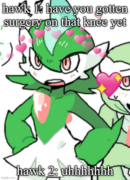 bridging the gap between the ages of hawk tuah and knee surgery | hawk 1: have you gotten surgery on that knee yet; hawk 2: uhhhhhhh | image tagged in female gallade my beloved | made w/ Imgflip meme maker