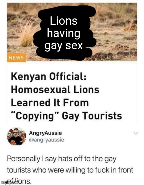 Lions having gay sex | made w/ Imgflip meme maker