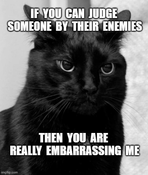 A Cat's Enemies | IF  YOU  CAN  JUDGE  SOMEONE  BY  THEIR  ENEMIES; THEN  YOU  ARE  REALLY  EMBARRASSING  ME | image tagged in black cat pissed,enemies,embarrassed | made w/ Imgflip meme maker