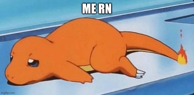 Probably me tomorrow too. | ME RN | made w/ Imgflip meme maker