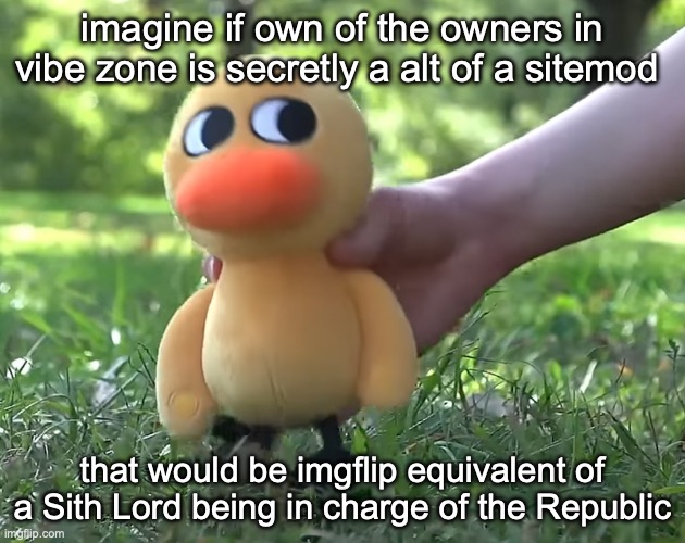 duck song plushie | imagine if own of the owners in vibe zone is secretly a alt of a sitemod; that would be imgflip equivalent of a Sith Lord being in charge of the Republic | image tagged in duck song plushie | made w/ Imgflip meme maker