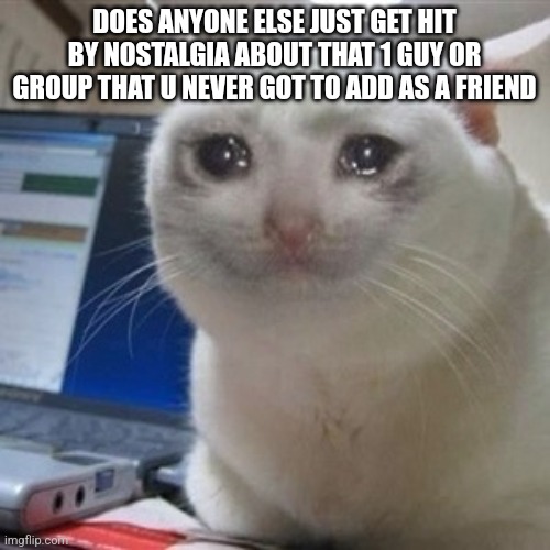 Crying cat | DOES ANYONE ELSE JUST GET HIT BY NOSTALGIA ABOUT THAT 1 GUY OR GROUP THAT U NEVER GOT TO ADD AS A FRIEND | image tagged in crying cat | made w/ Imgflip meme maker