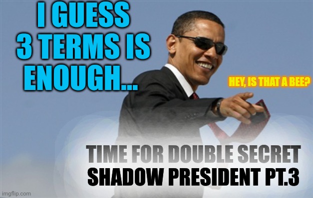 Here is your Existential threat to Democracy | I GUESS 3 TERMS IS ENOUGH... HEY, IS THAT A BEE? TIME FOR DOUBLE SECRET SHADOW PRESIDENT PT.3 | image tagged in memes,cool obama,constitutional republic,3 mansions | made w/ Imgflip meme maker