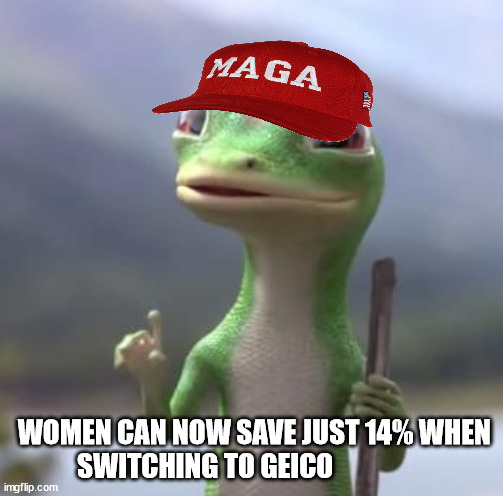 Feminists are dumb | WOMEN CAN NOW SAVE JUST 14% WHEN SWITCHING TO GEICO | image tagged in geico gecko,trump,donald trump,triggered feminist | made w/ Imgflip meme maker