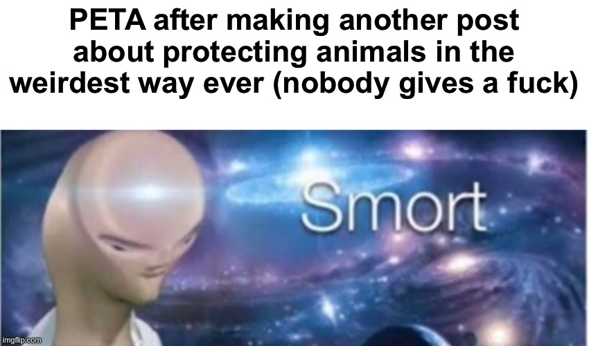Seriously, nobody cares of what that people think, they kill more animals than they save | PETA after making another post about protecting animals in the weirdest way ever (nobody gives a fuck) | image tagged in meme man smort,msmg | made w/ Imgflip meme maker