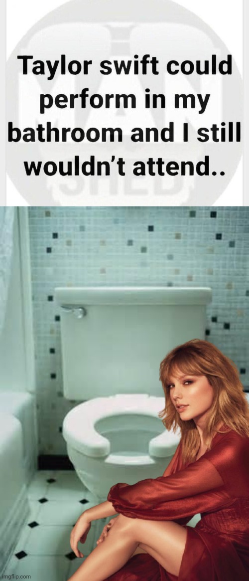 Taylor Swift concert in my bathroom | image tagged in toilet,taylor swift | made w/ Imgflip meme maker