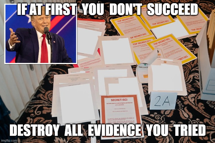 Persistence | IF AT FIRST  YOU  DON'T  SUCCEED; DESTROY  ALL  EVIDENCE  YOU  TRIED | image tagged in donald trump | made w/ Imgflip meme maker