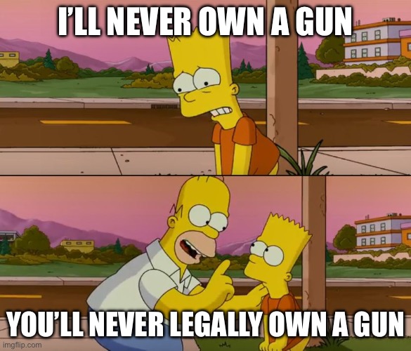 You will own a gun | I’LL NEVER OWN A GUN; YOU’LL NEVER LEGALLY OWN A GUN | image tagged in simpsons so far | made w/ Imgflip meme maker