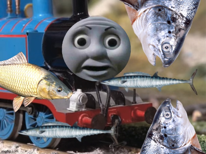 Thomas's wacky fish dream | image tagged in thomas had never seen such bullshit before clean version | made w/ Imgflip meme maker