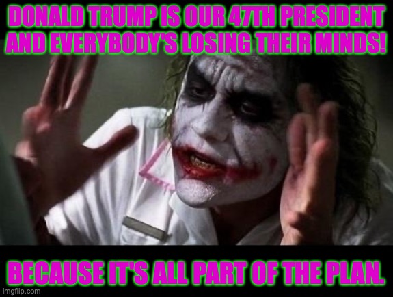 Joker Everyone Loses Their Minds | DONALD TRUMP IS OUR 47TH PRESIDENT AND EVERYBODY'S LOSING THEIR MINDS! BECAUSE IT'S ALL PART OF THE PLAN. | image tagged in joker everyone loses their minds | made w/ Imgflip meme maker