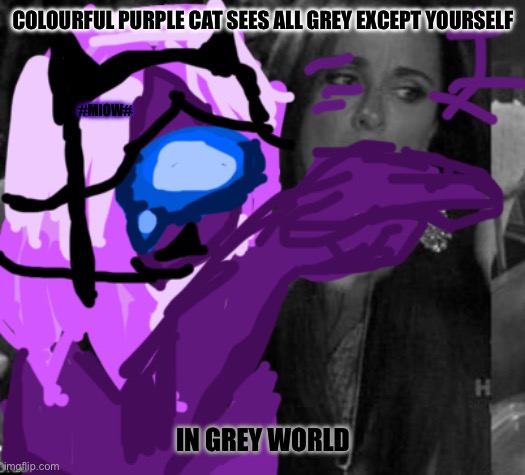 COLOURFUL PURPLE CAT SEES ALL GREY EXCEPT YOURSELF; #MIOW#; IN GREY WORLD | made w/ Imgflip meme maker