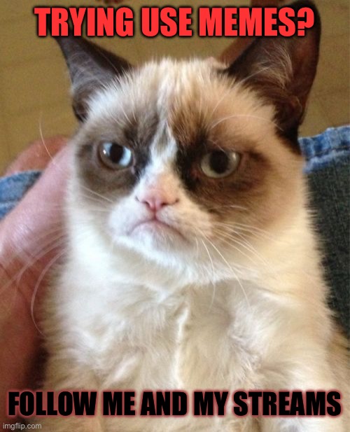 Grumpy Cat | TRYING USE MEMES? FOLLOW ME AND MY STREAMS | image tagged in memes,grumpy cat | made w/ Imgflip meme maker