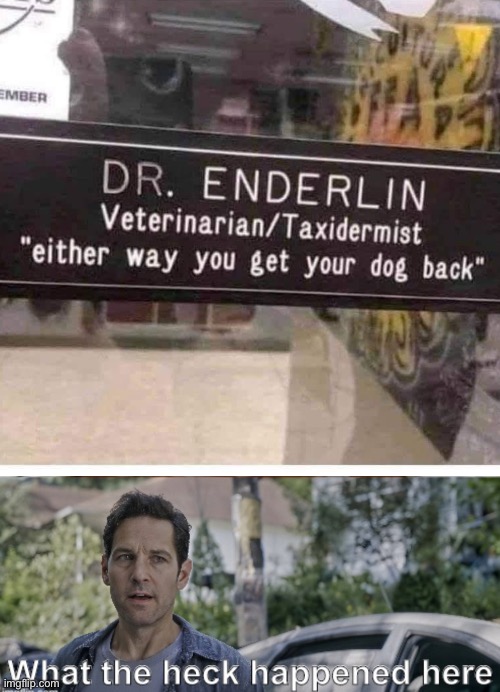 Kill or cure? | image tagged in antman what the heck happened here,veterinarian,stuffed animal,cure | made w/ Imgflip meme maker