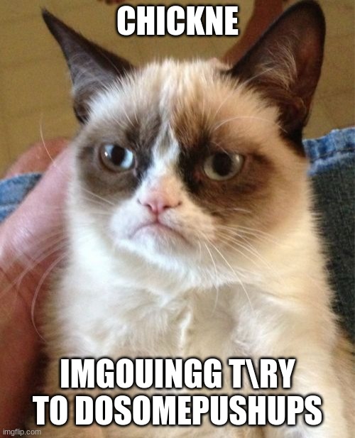 Grumpy Cat | CHICKNE; IMGOUINGG T\RY TO DOSOMEPUSHUPS | image tagged in memes,grumpy cat | made w/ Imgflip meme maker