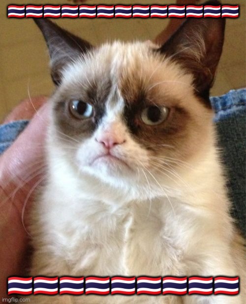 Grumpy Cat Meme | 🇹🇭🇹🇭🇹🇭🇹🇭🇹🇭🇹🇭🇹🇭🇹🇭🇹🇭🇹🇭🇹🇭🇹🇭🇹🇭; 🇹🇭🇹🇭🇹🇭🇹🇭🇹🇭🇹🇭🇹🇭🇹🇭🇹🇭 | image tagged in memes,grumpy cat | made w/ Imgflip meme maker