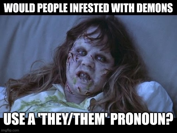 the Exorcist | WOULD PEOPLE INFESTED WITH DEMONS; USE A 'THEY/THEM' PRONOUN? | image tagged in the exorcist | made w/ Imgflip meme maker